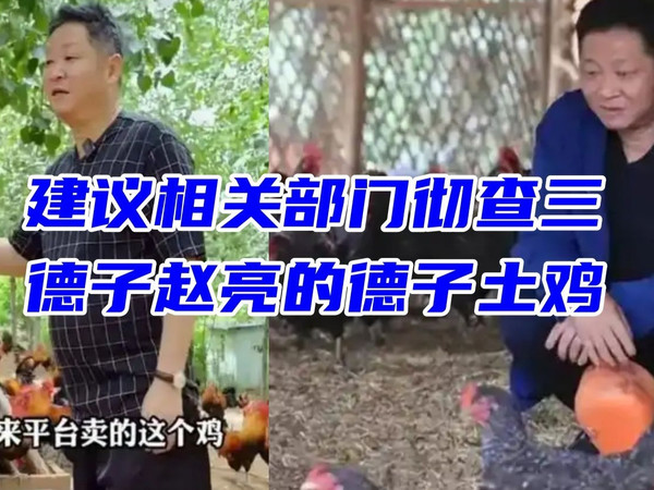 建议相关部门彻查三德子赵亮的德子土鸡