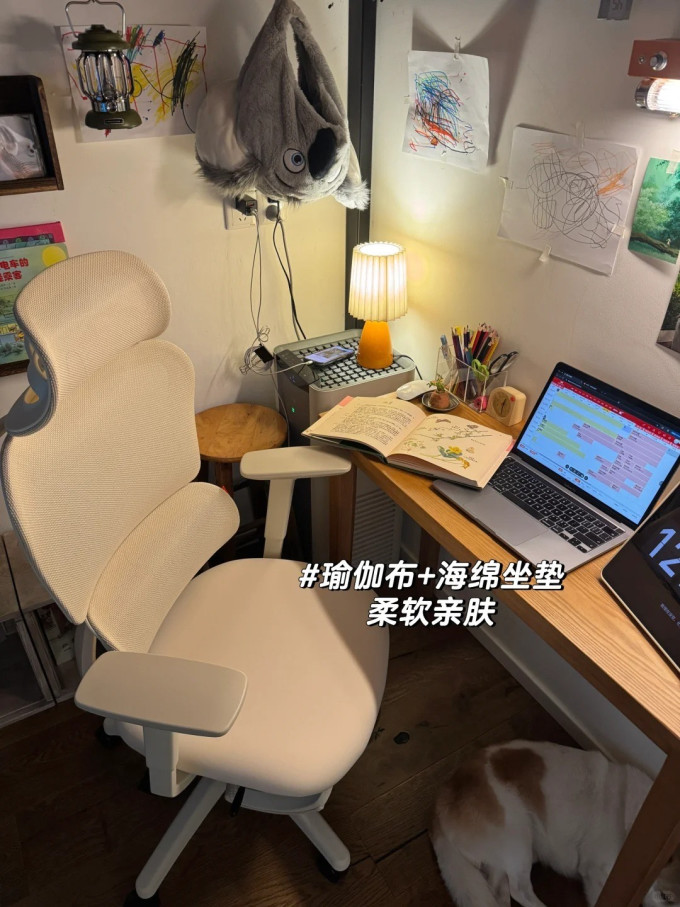 电脑椅