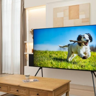 同级别这次真没对手了！TCL T6L Pro装配蝶翼星曜屏上市！