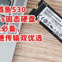 希捷酷鱼530 7400MB/s固态硬盘，装机必备，存储与极速传输双优选