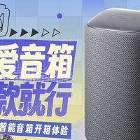 听我的，小爱音箱买这款｜开箱浅聊小米Xiaomi智能音箱