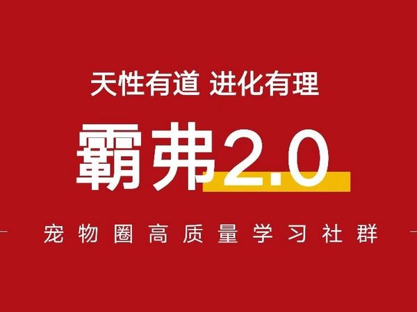它经济腾飞，国产猫粮霸弗又“进化”了