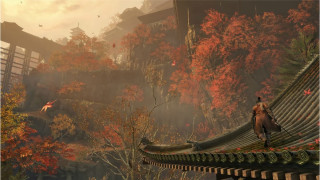 刀剑与隐秘：《只狼》PC版的战国生存实录