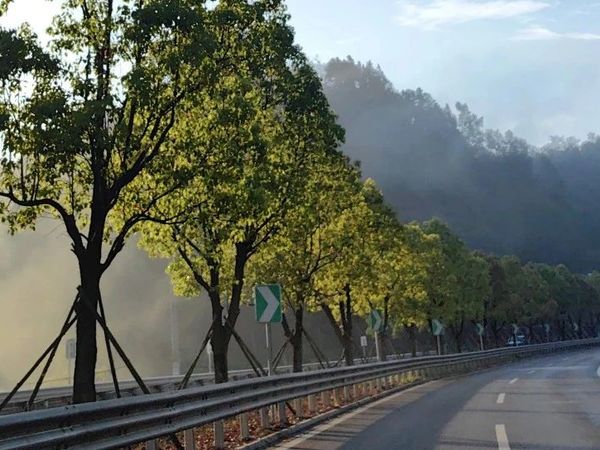 胡亦锋（实战）案例：一个《古村落·茶仓》的打造、建立、运营。