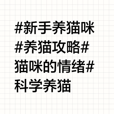 猫咪也是有情绪的！👀🌹