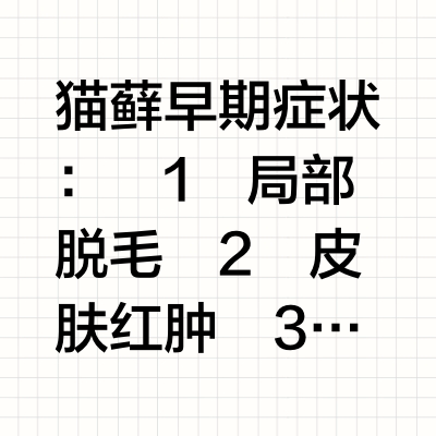 新手养猫必看‼️猫咪得了猫藓怎么办