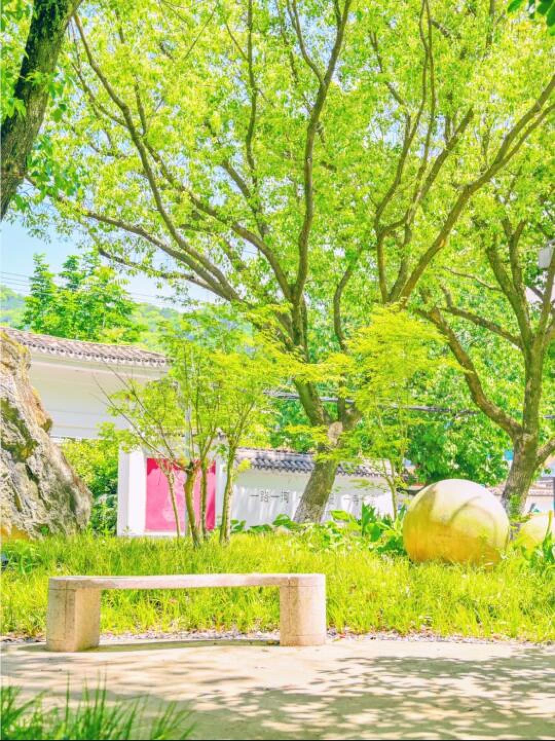 宫崎骏的夏日童话，在现实花海绽放治愈魔法