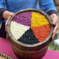 五色糯米饭是哪五种颜色？背后有什么故事？