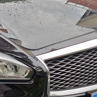 Q70 | 老Baby鉴赏
