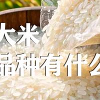 五常大米不同品种有什么区别