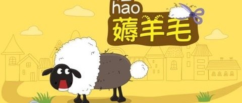 薅秃三家平台！我的羊毛战利品大公开