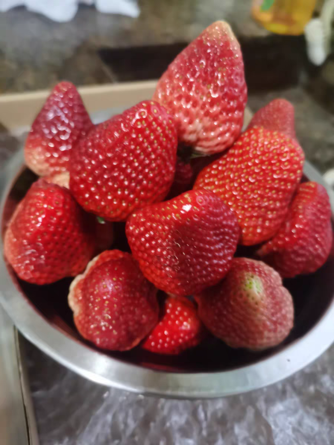 玖玖农场草莓