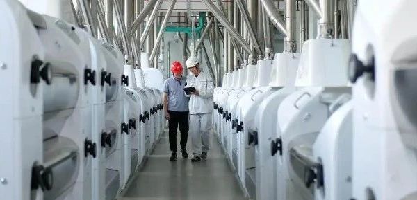 亚洲首座面粉行业“灯塔工厂”在顺德投产！重塑行业格局