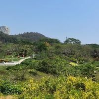 假期出行，风景不错，就是太晒了