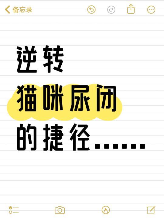 逆转猫咪尿闭的捷径