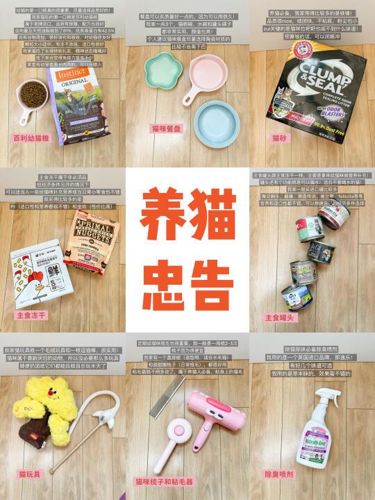 养猫7年忠告！养猫其实买这些就够了