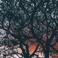 爱普生墨水，真值这个价？