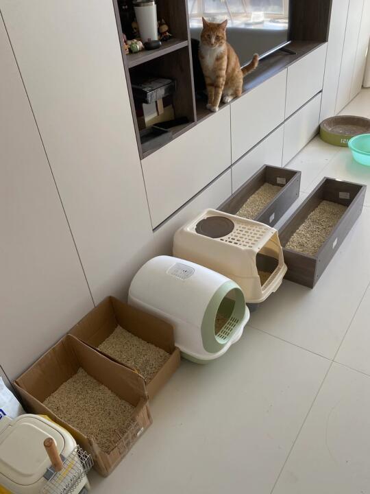 五一假期喵的留守攻略（省钱版）