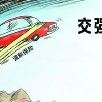 交强险的作用及其重要性