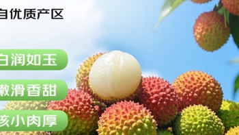 京鲜生海南妃子笑荔枝5斤装深度评价