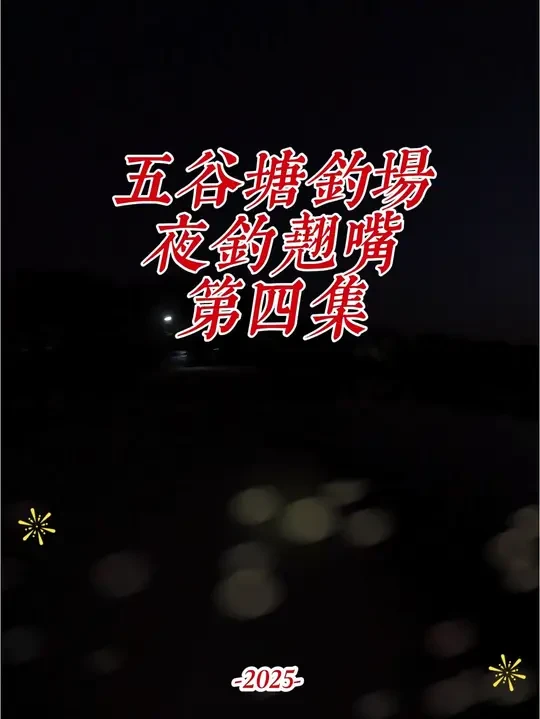 五谷塘钓场 针尾夜钓翘嘴#黑坑盘老板#男人的快乐就是这么简单 #海伯天扬路亚竿#针尾路亚翘嘴