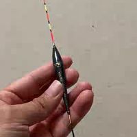 野钓新手看漂建议