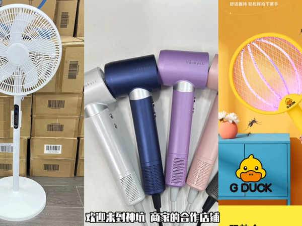 电风扇，电吹风以及电蚊拍