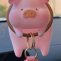 盘点那些被“神化”的车载品，实则鸡肋无疑