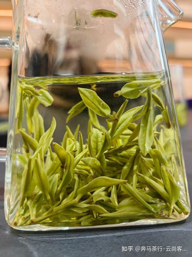 绿茶+黑茶——茶友感受提神补水+消食瘦身缓解长假综合症