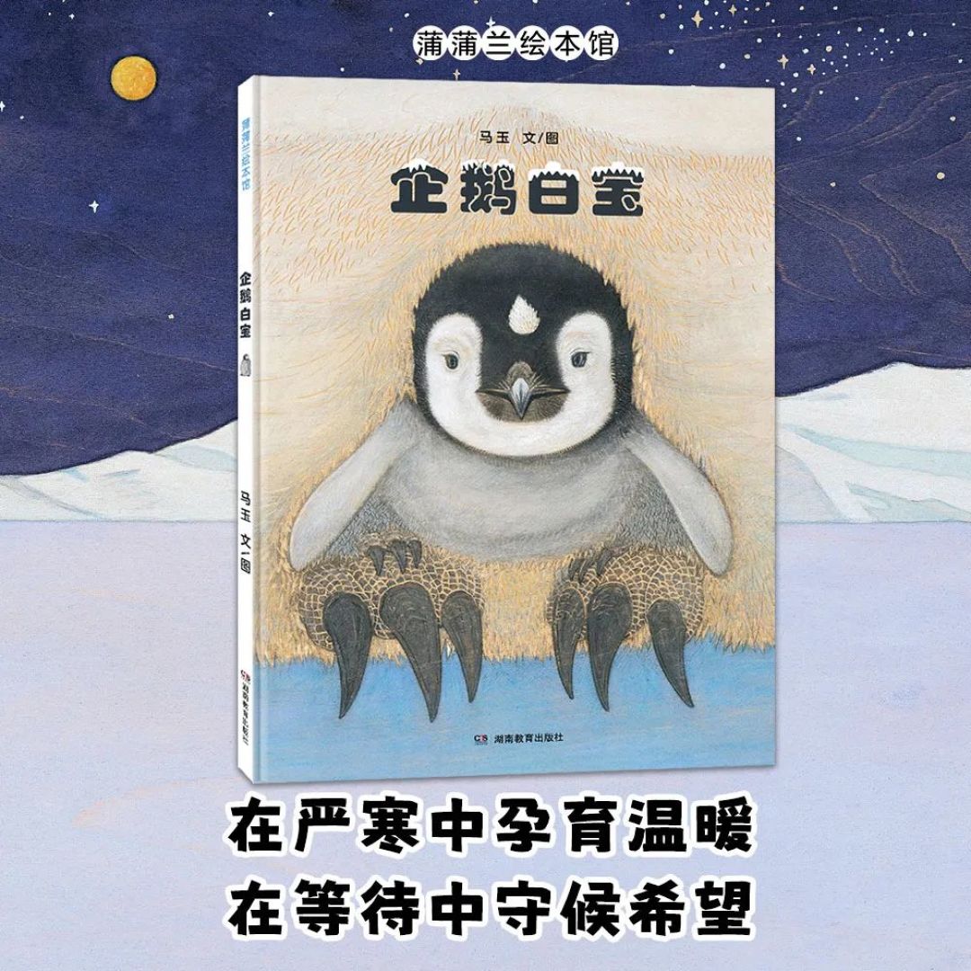 活动|周日朝图，画家带您走进南极的奇妙之旅