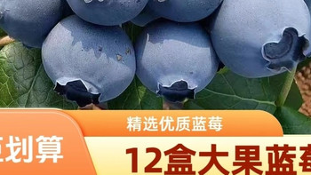 【12盒蓝莓】新鲜蓝莓大果孕妇当季云南蓝莓新鲜整箱批发100克/盒