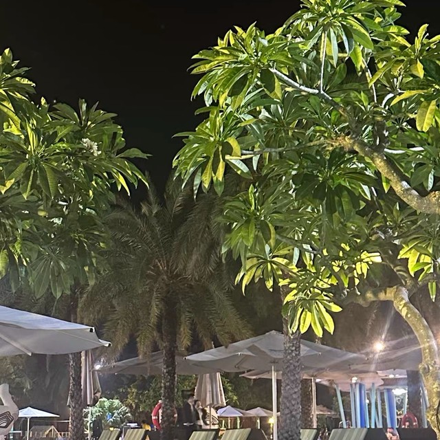 三亚美高梅度假酒店入住体验：细致入微的服务带来难忘假期