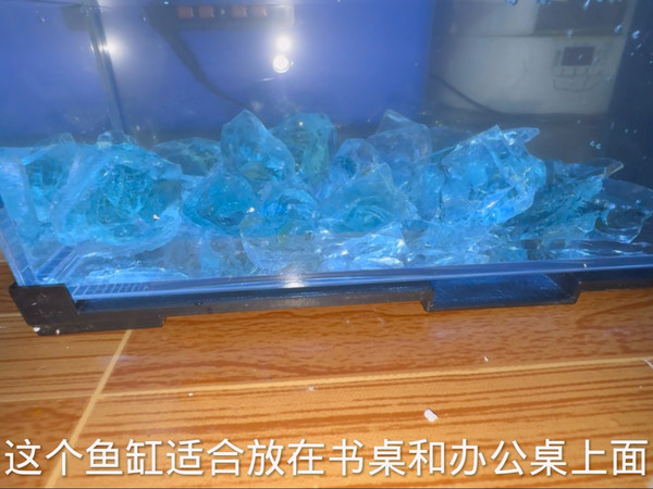 买个溪流鱼缸养几只鳑鲏鱼