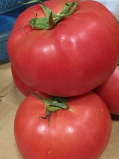 淘宝闪购，轻松购新鲜食材！