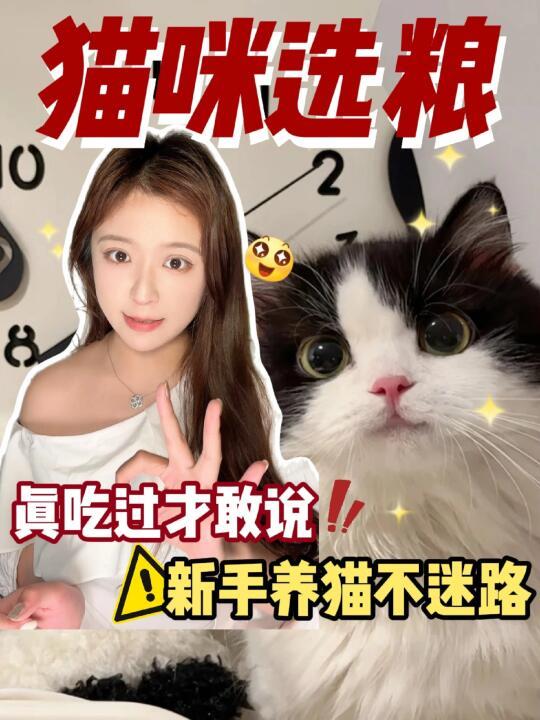 猫咪坦白局❗别乱买⚠️猫粮认准这三种❗