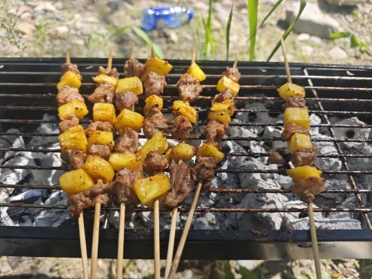 🌿 北京怀柔野营烧烤地推荐 | 躺平式露营