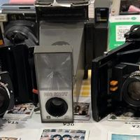 从70元卖到3000元，撕拉片为何火了？