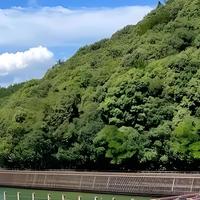 自驾庐山西海必囤清单！这波安利直接封神