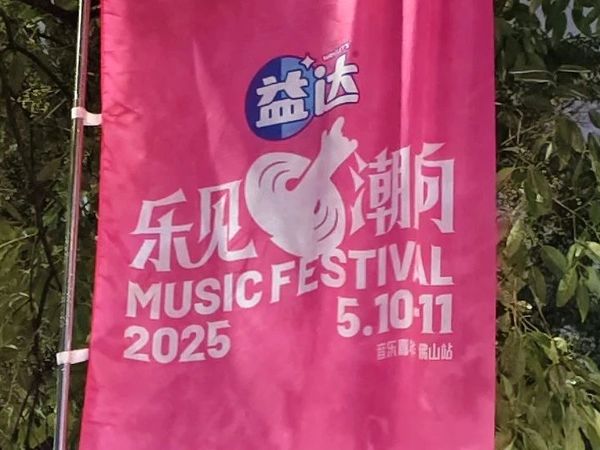 参加大型线下音乐节的前后记录