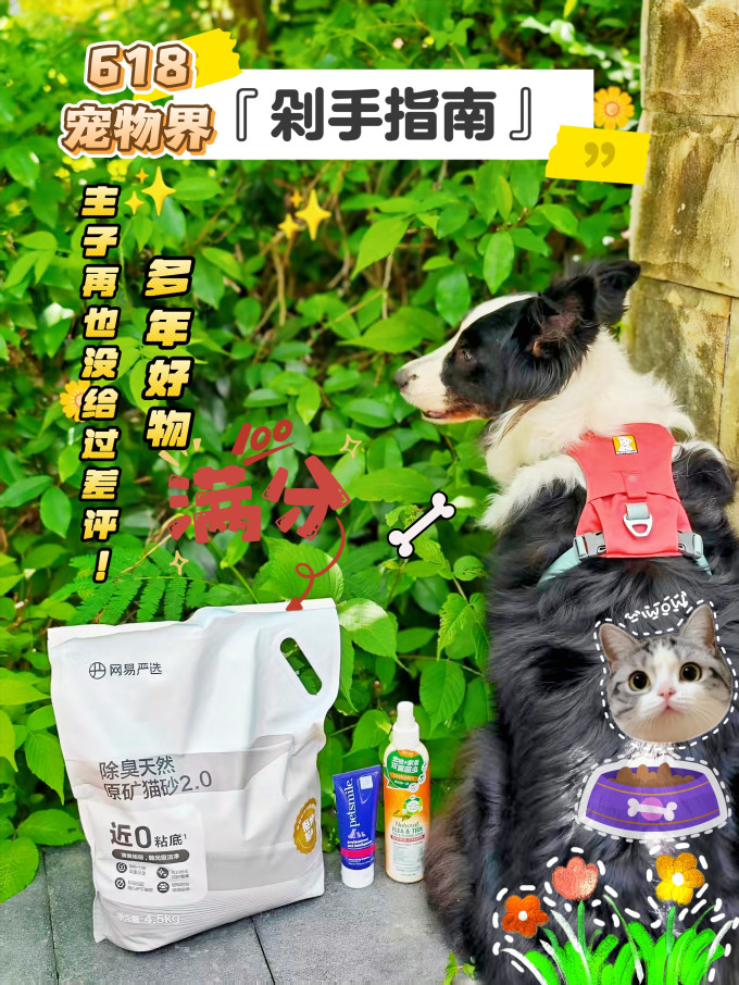 多美洁训导诱便/消毒除味