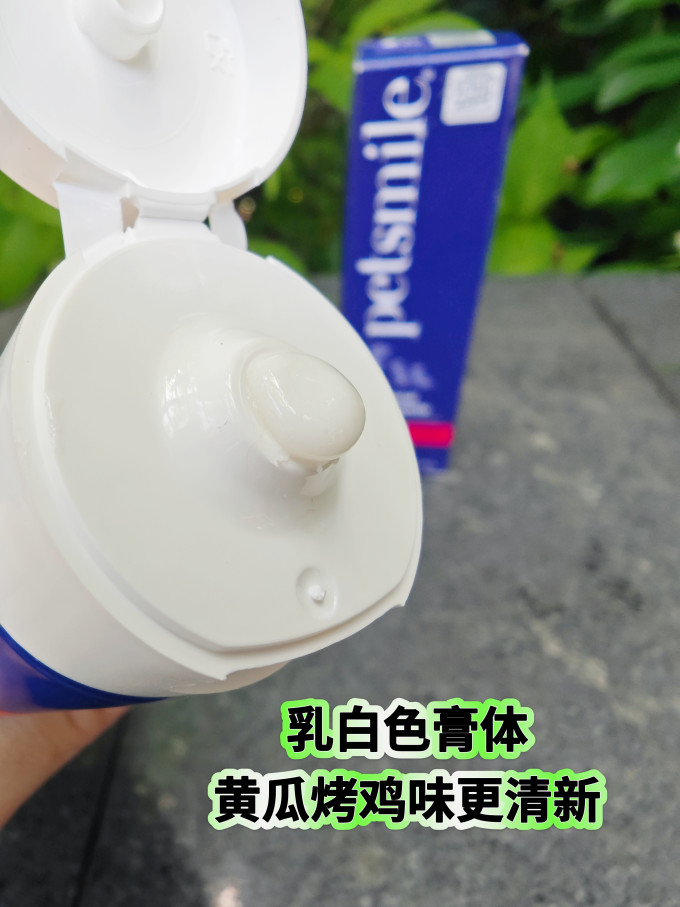 多美洁训导诱便/消毒除味