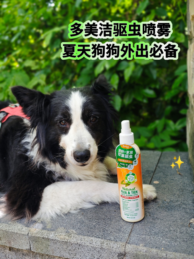 多美洁训导诱便/消毒除味