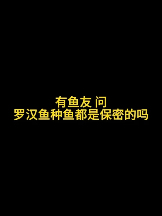 罗汉鱼种鱼都是保密的吗？ #罗汉鱼 #养鱼日记 #水族