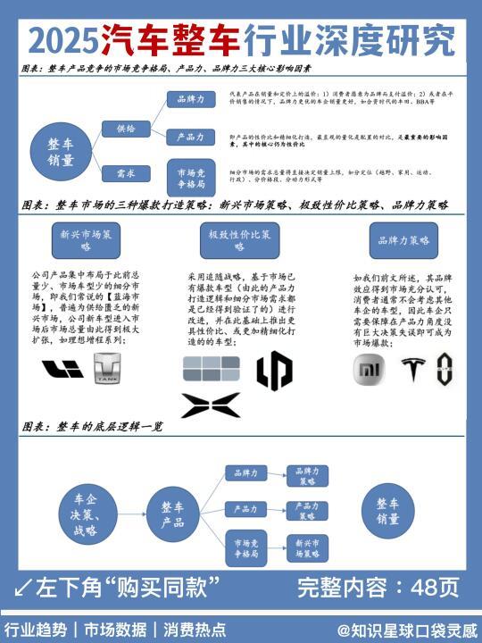 🚗竞争策略｜2025汽车整车市场深度分析