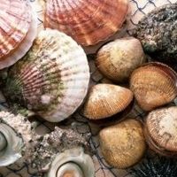 网上买海鲜你踩过那些坑