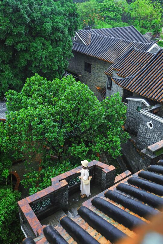 可园 📍雨天才是打开岭南园林的正确方式🌧️
