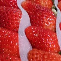 网购草莓那些“坑”，我替你踩过了！