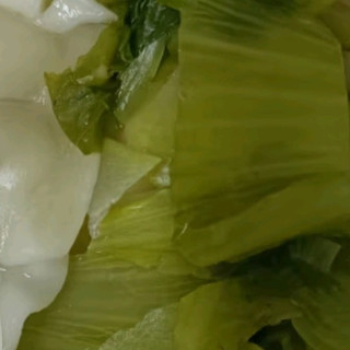 思念素水饺韭菜鸡蛋口味1kg约50只 速冻饺子蒸饺煎饺