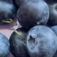 亲测！生鲜电商退换货哪家强？