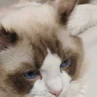 夏日时尚，这样穿才够潮！